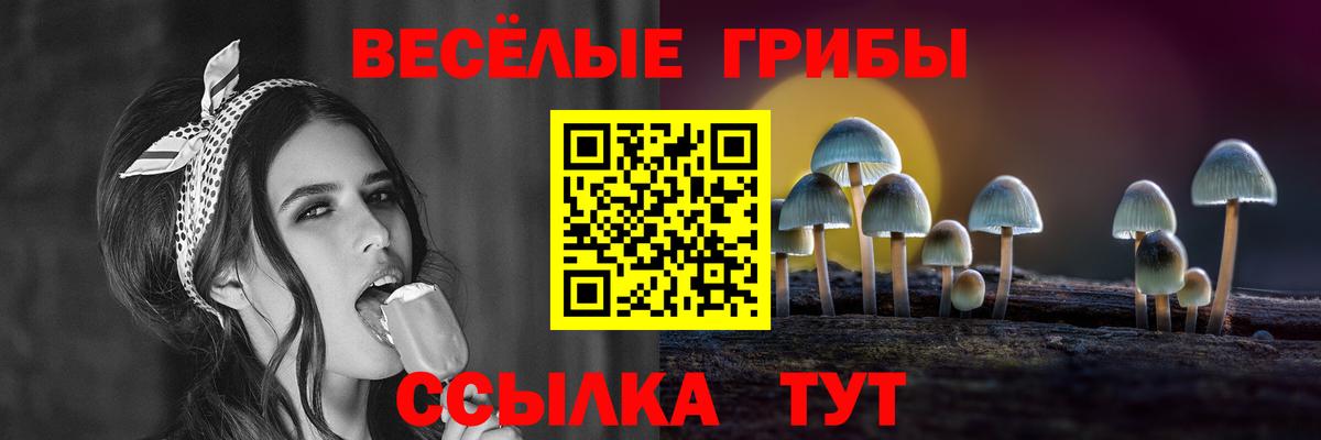 Галлюциногенные грибы мухоморы  Псилоцибиновые грибы Cubensis  Избербаш  Вход с VPN 